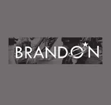 Brandon Optics